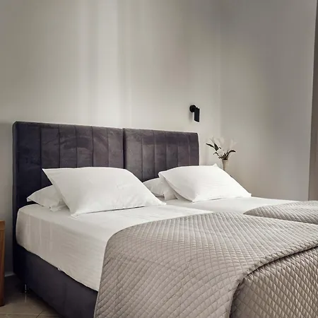 فيلة Ether View *